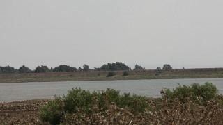 pic_gallery221_62