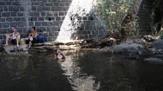 pic_gallery221_84