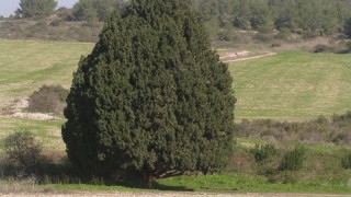 pic_gallery234_1