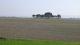 pic_gallery234_13