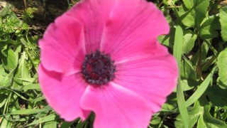 pic_gallery234_18