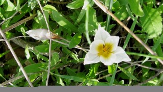 pic_gallery234_19