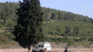 pic_gallery234_2