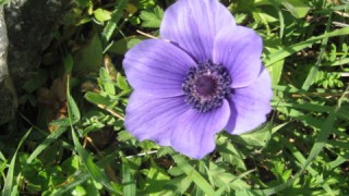 pic_gallery234_20