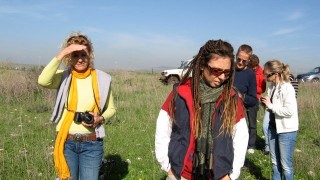 pic_gallery234_21
