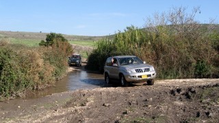 pic_gallery234_32