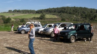 pic_gallery234_37