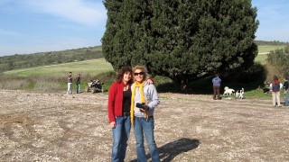 pic_gallery234_39