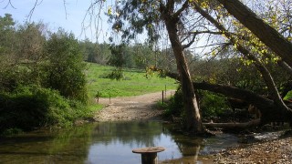 pic_gallery234_4