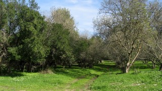 pic_gallery234_52