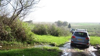 pic_gallery234_53