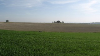 pic_gallery234_55