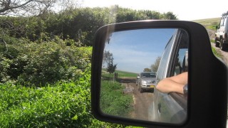pic_gallery234_56