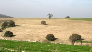 pic_gallery234_63