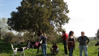 pic_gallery234_64