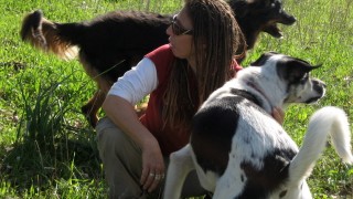 pic_gallery234_66
