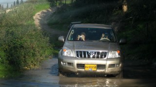 pic_gallery234_69
