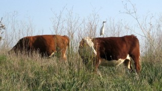 pic_gallery234_73