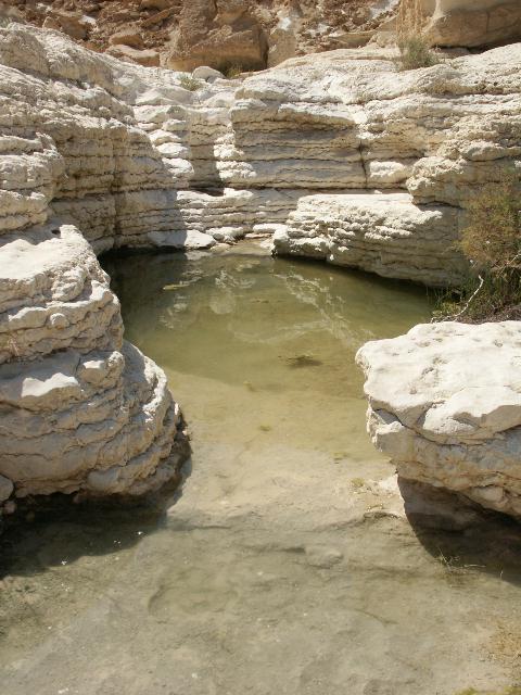 נחל צין 8-9/4